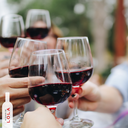 El clavel de Lola - Pack 12