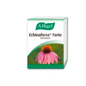 057325-echinacea-force